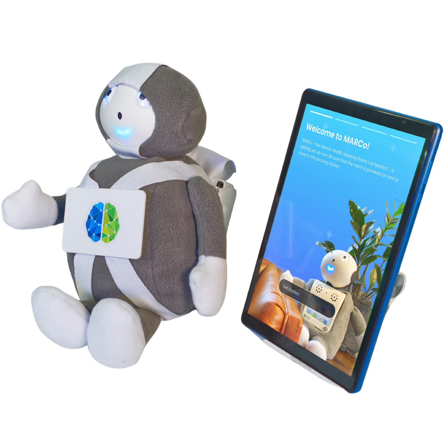 AI and GPT powered Robot Companion for elderly and adolescents with touch screen